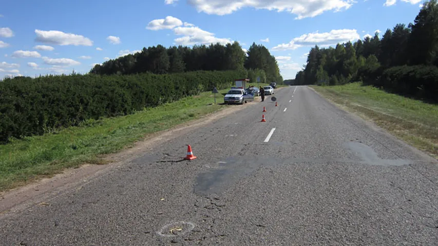 З грузавіка на пешахода звалілася бервяно (фота)