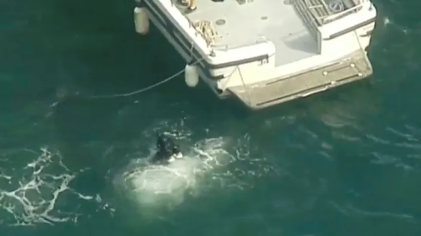 У Аўстраліі ў раку ўпаў самалёт, загінуў мільянер са сваёй сям’ёй