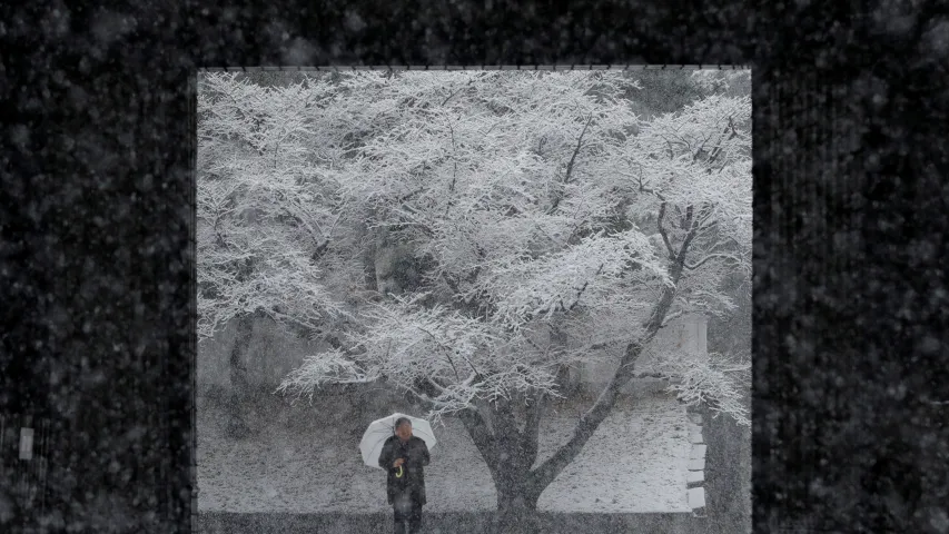 Як японцы перажываюць магутныя снегапады (фота)