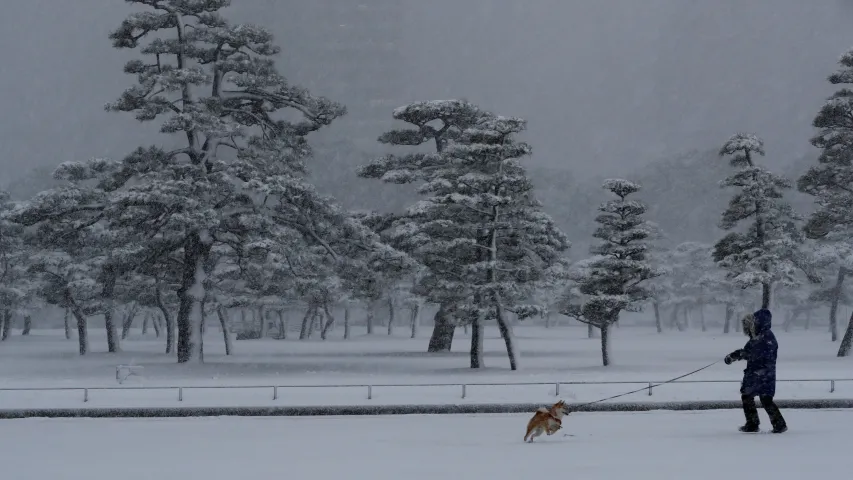 Як японцы перажываюць магутныя снегапады (фота)