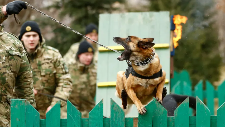 Спецназ у агні (фотарэпартаж)