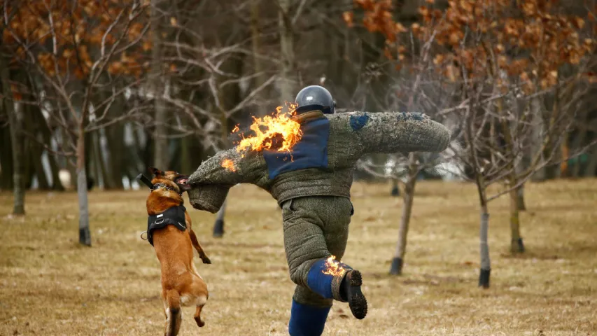Спецназ у агні (фотарэпартаж)