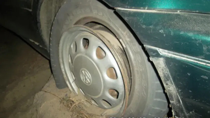 Каля Лунінца затрымалі пенсіянера з 46 шчупакамі (фота)