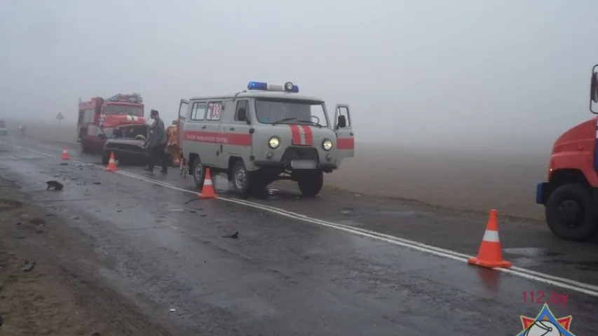 Лабавое сутыкненне легкавікоў у Кармянскім раёне (фота)