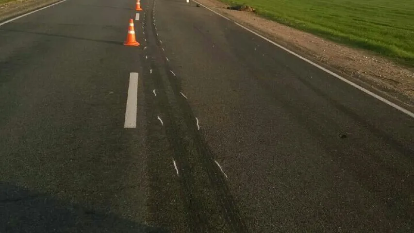 У Жабінкаўскім раёне пад коламі мікрааўтобуса загінуў 25-гадовы раварыст