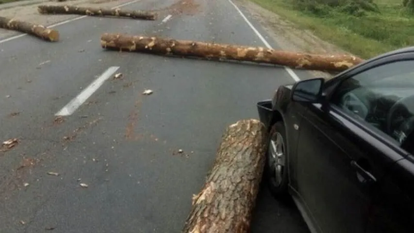 Перакуліўся прычэп лесавоза, бярвёны паляцелі на легкавікі (фота, відэа)