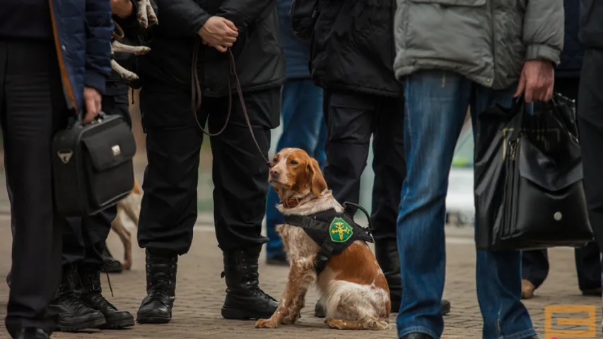 На выставе ў Мінску міліцыя раструшчыла двух "чалавек" (фота)