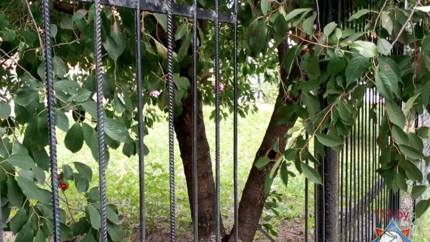 Фотафакт: у Брэсце ратавалі мужчыну, які ўпаў на металічны плот