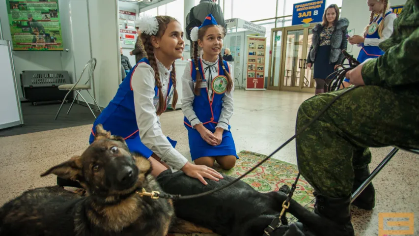 На выставе ў Мінску міліцыя раструшчыла двух "чалавек" (фота)