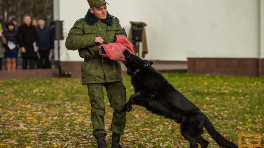 На выставе ў Мінску міліцыя раструшчыла двух "чалавек" (фота)
