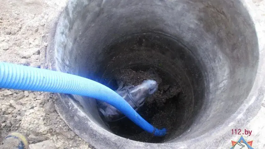 У Іванаўскім раёне з калодзежу выцягвалі каня (фота)