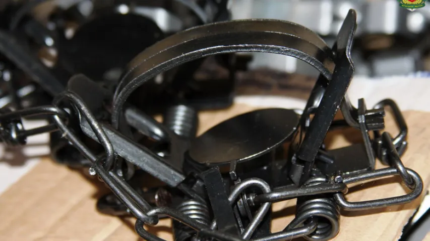 Украінец ехаў у Беларусь са 167 металічнымі капканамі (фота)