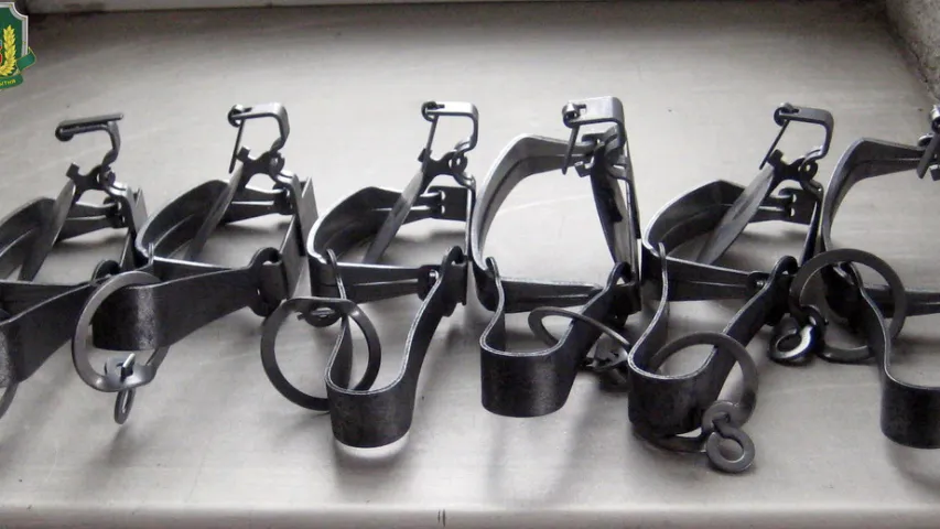 Украінец ехаў у Беларусь са 167 металічнымі капканамі (фота)