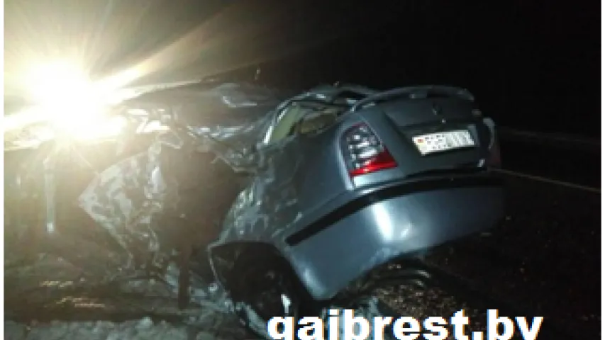 У Івацэвіцкім раёне кіроўца ўрэзаўся ў прыдарожнае дрэва