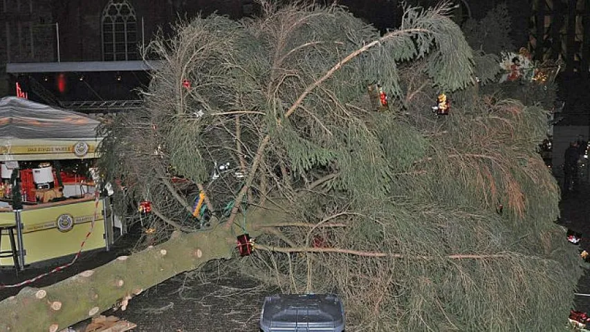 На плошчы ў Германіі на людзей павалілася калядная ялінка
