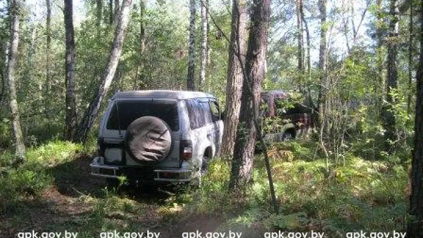 Брэсцкія памежнікі абстралялі кантрабандыстаў мяса (фота)