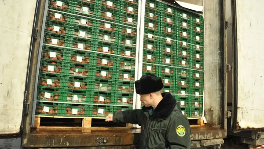 Смаленская мытня затрымала на беларускай мяжы 20 фураў з гароднінай і садавіной