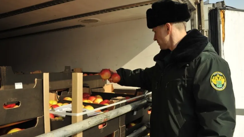 Смаленская мытня затрымала на беларускай мяжы 20 фураў з гароднінай і садавіной