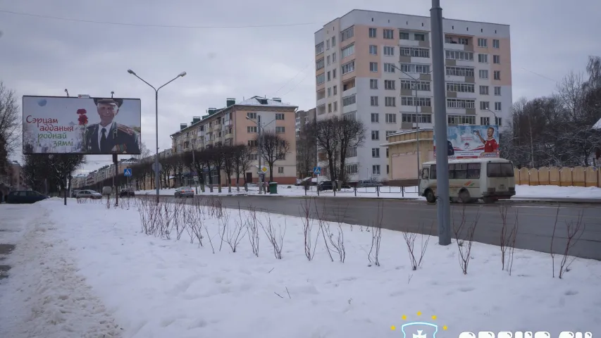 У Оршы кусты і дрэвы высадзілі ў снег