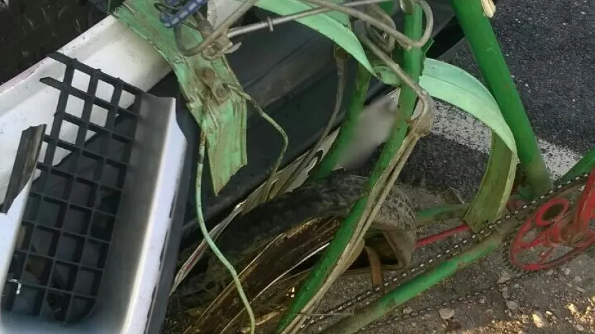 У Жабінкаўскім раёне пад коламі мікрааўтобуса загінуў 25-гадовы раварыст