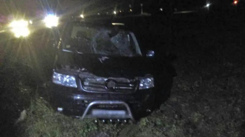 У Столінскім раёне пад коламі аўтамабіля загінуў раварыст