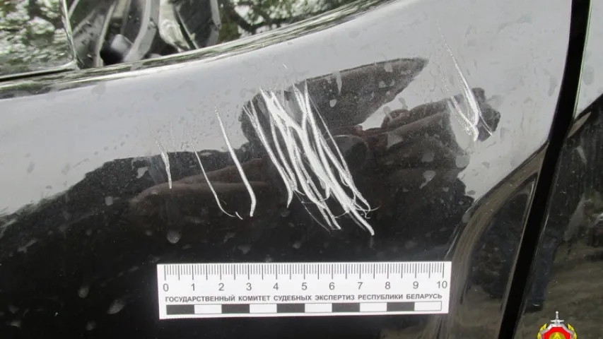 У Валожыне шукаюць каня, які пакусаў… аўтамабіль (фота)