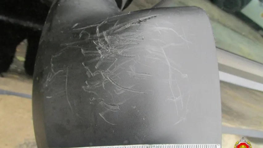 У Валожыне шукаюць каня, які пакусаў… аўтамабіль (фота)