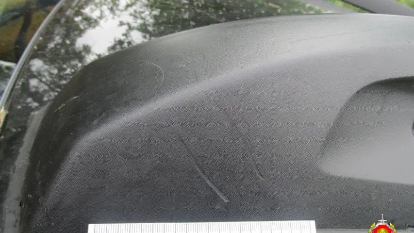 У Валожыне шукаюць каня, які пакусаў… аўтамабіль (фота)