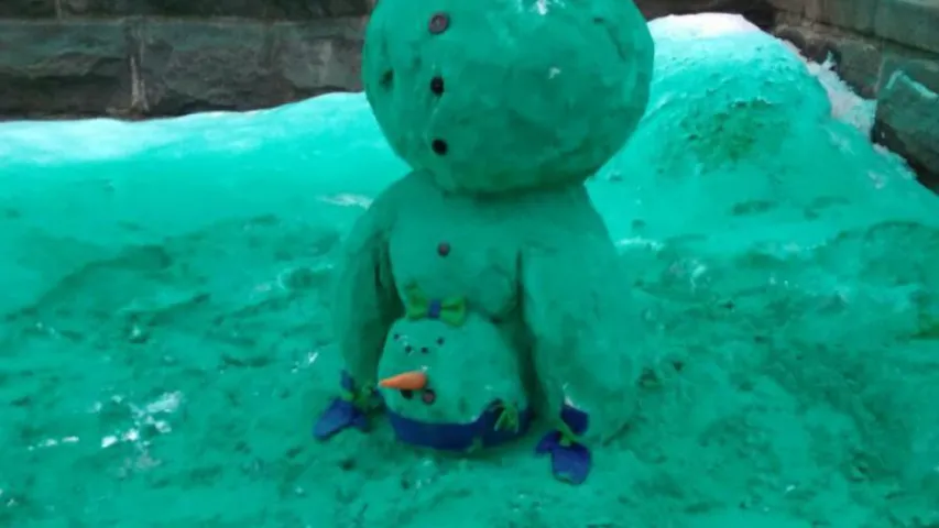 Каля эканамічнага ўніверсітэта ў Мінску снег пафарбавалі ў зялёны колер