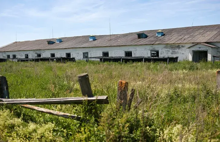 Разруха ў калхозе. Ілюстратыўнае фота
